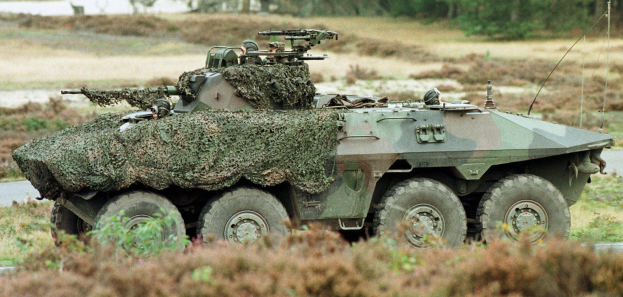 Militärischer Personentransporter mit montierter Kanone auf einer Straße neben einem Wald.
