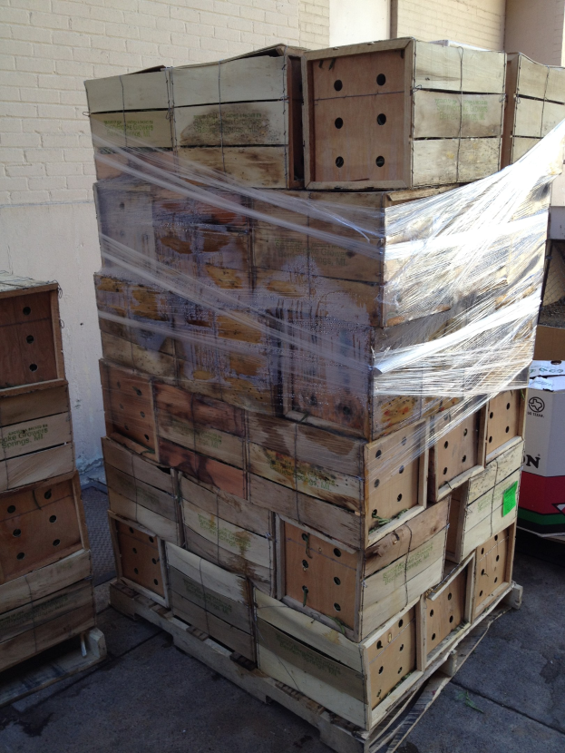 HPE präsentiert Implementierungsunterstützung für PPWR für Holzverpackungsunternehmen