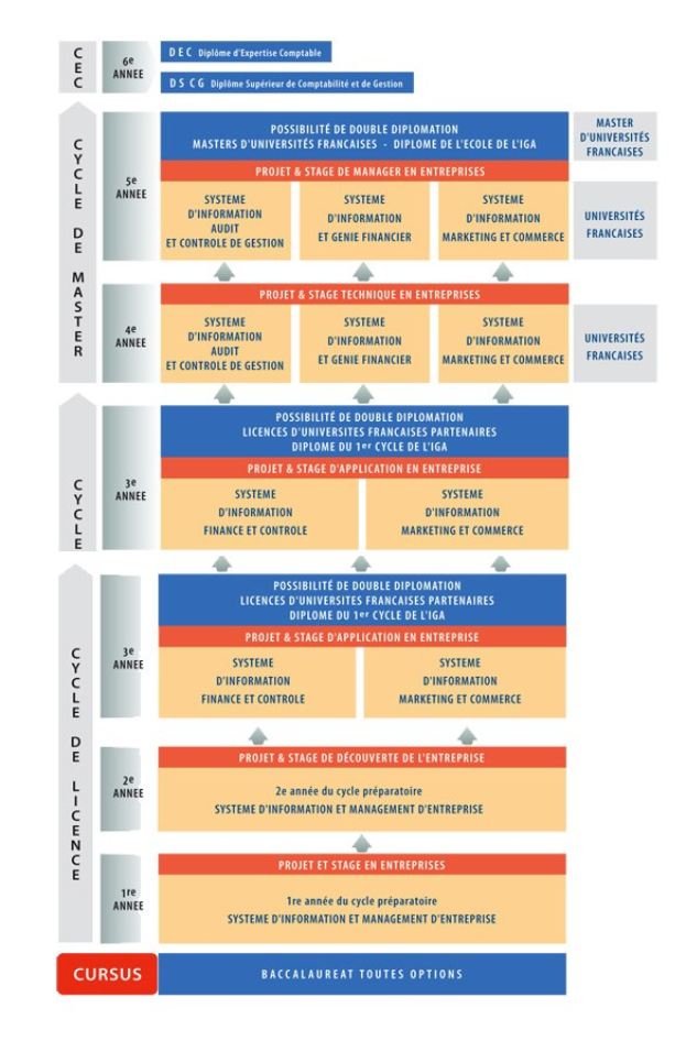 Diagramm, das die organisatorische Struktur eines Unternehmens mit Phasen des Unternehmenswachstums darstellt, dargestellt durch verbundene Kästchen und Pfeile, die jeweils Rollen und Verantwortlichkeiten beschreiben.