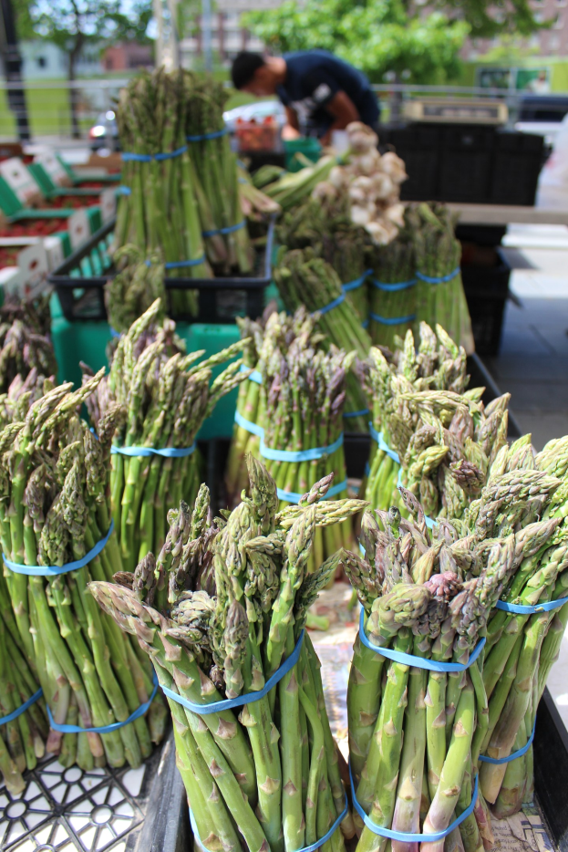 Frischer Spargel in Bündeln auf einem Bauernmarkt zum Verkauf ausgestellt, mit einer Person im Hintergrund zwischen Bäumen, Gebäuden und einem klaren blauen Himmel.