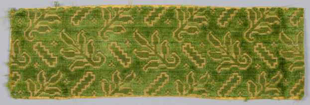 Algacore-Projekt des Fachbereichs Textil- und Bekleidungstechnik an der Hochschule Niederrhein - Kleidung aus Algen in Zukunft?