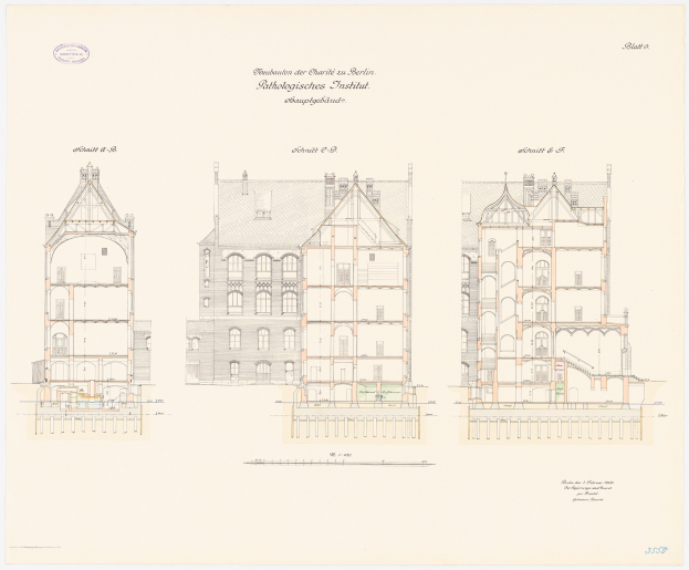 Architektonischer Planentwurf der Charles II-Schule in Berlin mit zahlreichen Fenstern und detaillierten Anmerkungen.