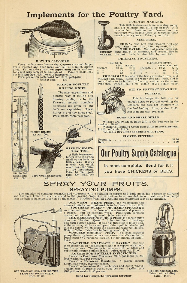 Alte Werbetafel für einen Hühnerhof mit Text und bunten Bildern von Hühnerprodukten, einschließlich Informationen zu Zutaten, Preisen und Anwendungsanweisungen.