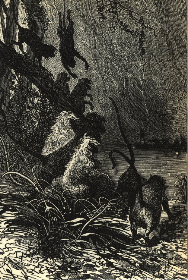 Schwarze und weiße Illustration einer Gruppe von Löwen in einer Dschungelumgebung mit üppiger Vegetation und Bäumen, die den Text 'Der König der Löwen' unten zeigt.