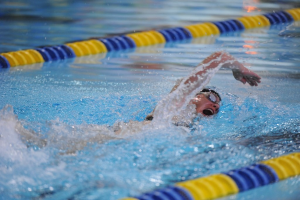Eine Person schwimmt in einem Gewässer.