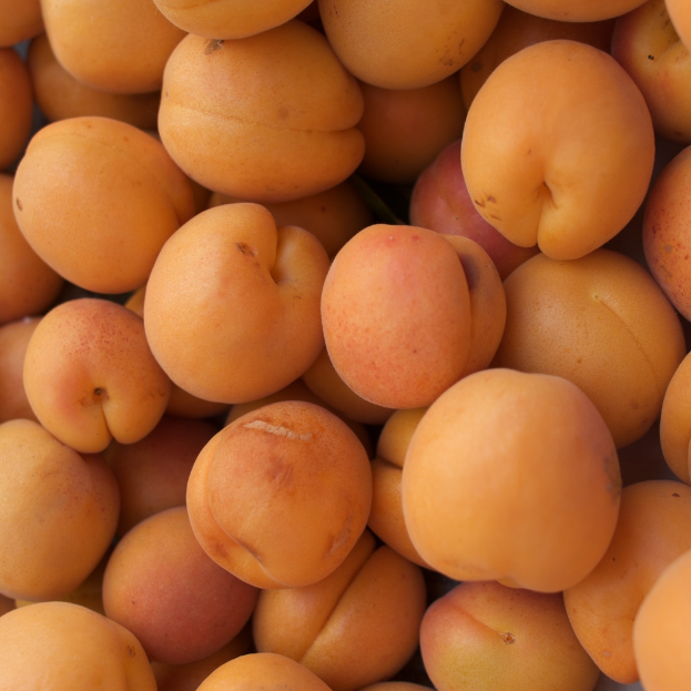 Verschiedene orangenfarbene Früchte.