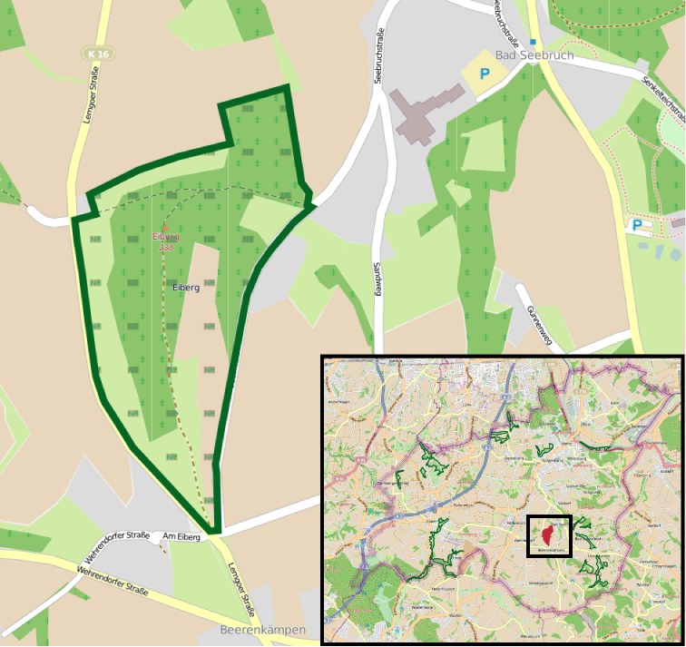 Eine detaillierte Stadtkarte mit einem zentralen grünen Bereich, der als geplanten Entwicklungsstandort markiert ist, umgeben von Straßen, Gebäuden und Sehenswürdigkeiten.