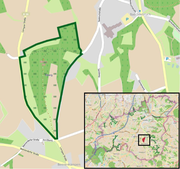 Eine detaillierte Stadtkarte mit einem zentralen grünen Bereich, der als geplanten Entwicklungsstandort markiert ist, umgeben von Straßen, Gebäuden und Sehenswürdigkeiten.