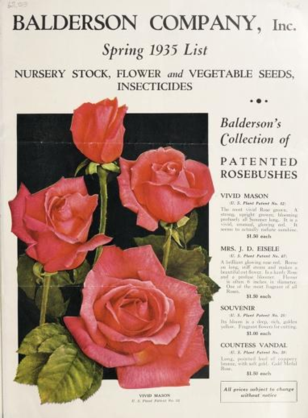 Baldwin Company, Inc. Frühjahrskatalog 1935 mit pinkfarbenen Rosen und Blättern, Liste von Zierpflanzen, Samen und Insektiziden.