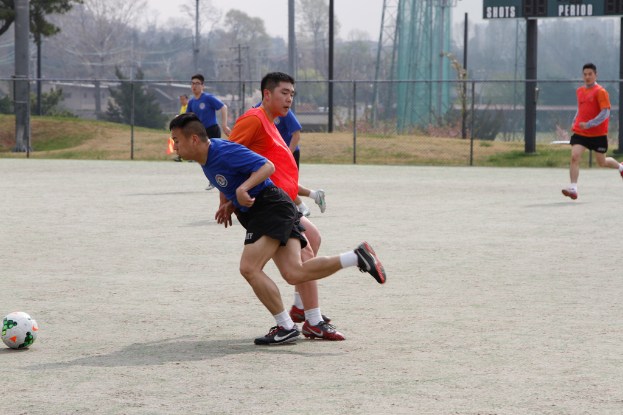 Eine Gruppe von Spielern spielt Fußball auf einem Feld, das von einem Maschendrahtzaun umgeben ist, mit Bäumen, Leitern und Strommasten auf der anderen Seite.