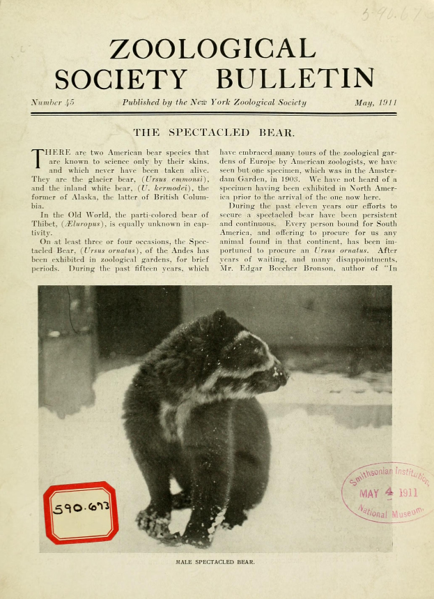 Ein Schwarz-Weiß-Foto eines Waschbären auf dem Cover eines Zoologischen Gesellschaftsblatts mit Text.