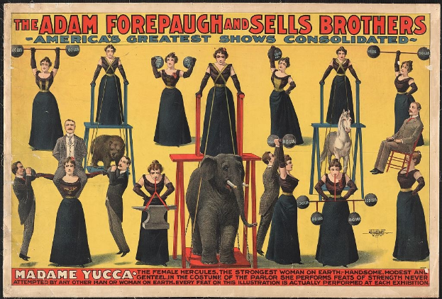 Plakat für die konsolidierte Zirkusshow von Adam Forepaugh und Sells Brothers mit Performern auf Hockern und einem Elefanten in der Mitte sowie Werbetext.