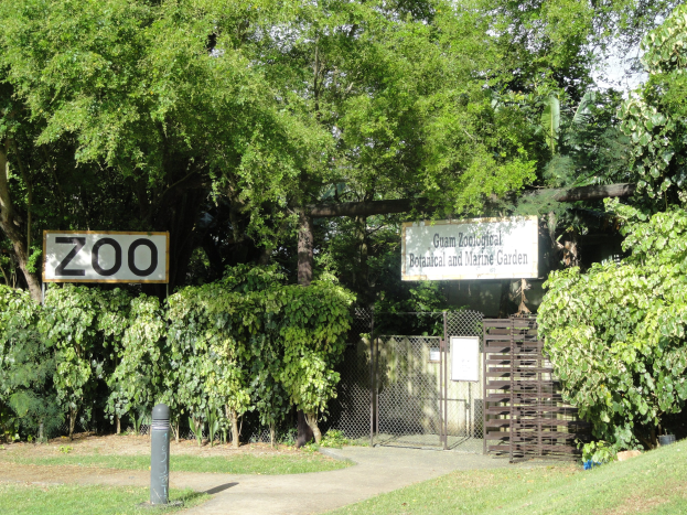 Eingang zu einem Zoo mit einem "Zoo"-Schild, umgeben von grünem Gras, hohen Bäumen, einem blauen Himmel, einem Vordergrundpfahl und einem Maschendrahtzaun im Hintergrund.