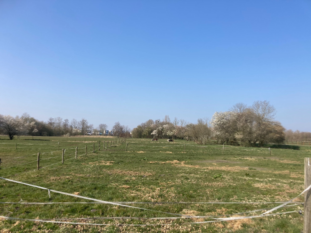 Eine grüne Wiese mit einem Zaun, der sie teilt, umgeben von B├Ąumen und unter einem klaren blauen Himmel, mit Land zum Verkauf von Parzelle 1 bis 50.