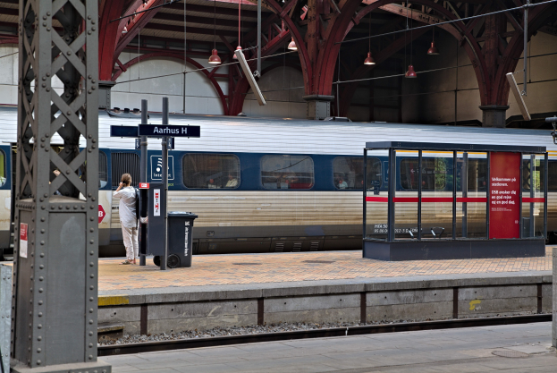 Ein Zug fährt auf einem Bahnsteig ein, neben dem eine Person steht, mit einem Müllcontainer, Pfölen, Informationsplakaten und Deckenleuchten.