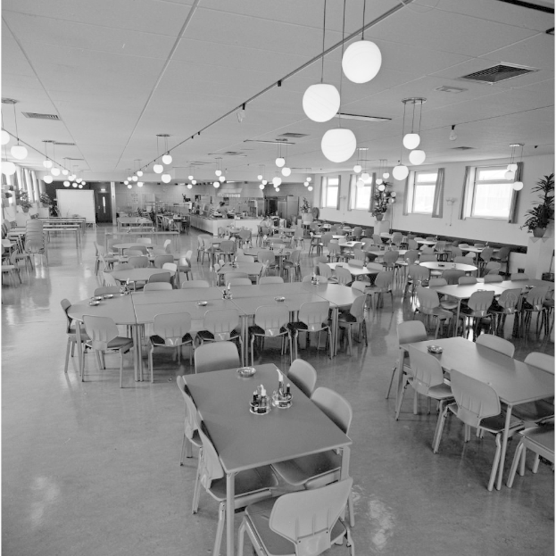 Große Cafeteria mit Tischen, Stühlen, Flaschen, hängenden Lichtern, Fenstern auf der rechten Seite und verstreuten Pflanzen.