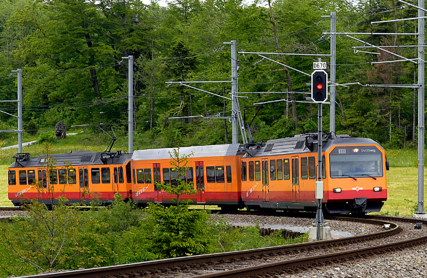 Ein Zug auf Schienen mit Strommasten, Kabeln, Bäumen, Blumen, Pflanzen und Gras im Hintergrund.