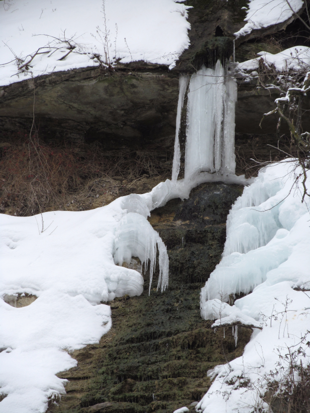 Ein kleiner Wasserfall ergießt sich über eine schneebedeckte, eisige Felswand in einem bewaldeten Gebiet, umgeben von schneebedeckten Bäumen.