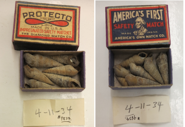 Zwei Schachteln mit der Aufschrift 'Protecto' und 'Amerikas erste Sicherheitszündholz' mit verschiedenen Gegenständen auf einem Tisch, mit zwei nummerierten Papieren unten.