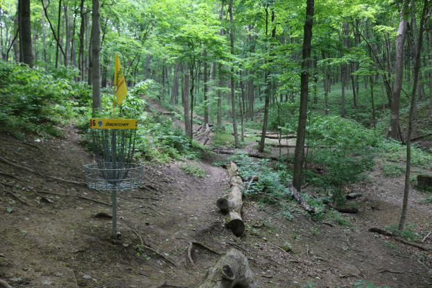 Ein Disc-Golf-Platz in einem Waldgebiet mit einem Korb und einem gelben Schild, umgeben von Bäumen, Laub und verstreuten Holzstämmen.